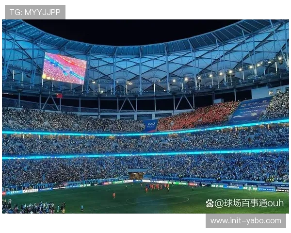 南北德比气氛热烈，汉堡球迷助威声撼动球场